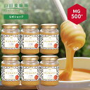 【山田養蜂場】 マヌカ蜂蜜 MG500+ ( クリームタイプ ) 200g×6本 はちみつ マヌカハニー 食べ物 食品 健康 抗菌 活性 ケア 男性 女性 父 母 夫 妻 両親 お取り寄せグルメ ギフト 贈答 プレゼント 誕生日 ニュージーランド 高級 変わり種はちみつ ホワイトデー