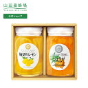 【山田養蜂場】レモンとしょうがのセット輪切りレモンはちみつ漬420g・しょうがはちみつ漬450g×各1本 はちみつレモン 蜂蜜 詰め合わせ おしゃれ お取り寄せ...