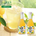 山田養蜂場 ジュース ギフト 【山田養蜂場】ゆずハニードリンク＜500ml×2本＞ ギフト プレゼント 食品 はちみつ 健康 人気 ビタミンC 国産 クエン酸 瓶ジュース 瓶 健康 お取り寄せグルメ 高級 母の日