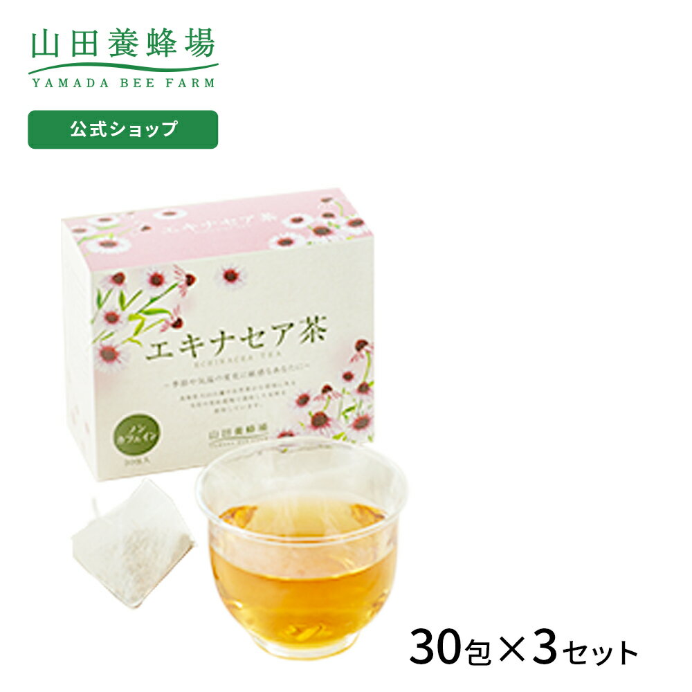 【山田養蜂場】エキナセア茶 30包×3セット ギフト プレゼント お茶 食品 健康 人気 健康 対策 飲みやすい ノンカフェイン ハーブティー 父の日