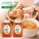 【山田養蜂場】 しょうがはちみつ漬 <900g×2本> はちみつ 百花蜂蜜 しょうがはちみつ 生姜蜂蜜 生姜はちみつ 蜂蜜漬け 生姜 ショウガ ジンジャー しょ...