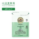 健康維持 元気 サプリ 霊芝 12000mg 高配合 れいし 乳酸菌 スピルリナ プロポリス 牡蠣 シジミ カキエキス ウコン アミノ酸 ブロッコリースプラウト グルタミン コハク 紅景天 発酵 黒にんにく 霊芝粉 キノコ 健康 サプリメント 120粒 長命玉 送料無料 国産 日本製