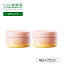 【山田養蜂場】【送料無料】ハニーラボ ふんわりモイストゲル 60g 【2個セット】 ギフト プレゼント 人気 健康 母の日