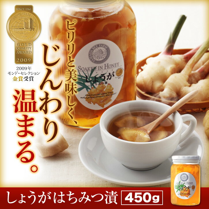 【山田養蜂場】しょうがはちみつ漬 450g ギフト プレゼント 食べ物 食品 はちみつ 健康 人気