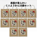 【小城羊羹】ありがとう10袋セット ※やわらかタイプ