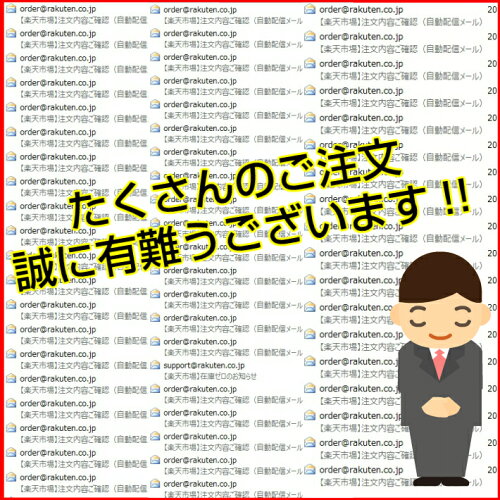 和菓子ランキング1位獲得!!小城羊羹お試し12個入り【メール便送料無料】※表面が固いタイプ