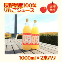リンゴジュース果汁100%ふじ長野県産1000ml2本セットりんごジュース