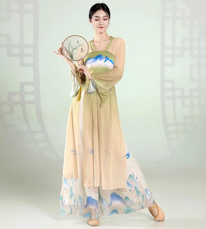 大人古典ダンス衣装レディースチャイ...