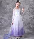 姫様ドレス コスプレ衣装 子供 ダンス衣装 女の子 ダンス衣装 コスプレ衣装 可愛いドレス ハロウインドレス仮装 クリスマス コスチューム 姫様