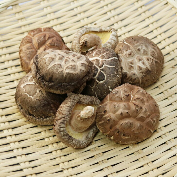 原木乾椎茸（どんこ）70g　岩手県山田町産　名産品　ご家庭用、ご贈答にもどうぞ　3袋ご注文で送料無料！