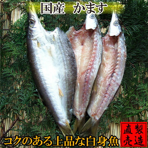 父の日ギフト かます 干物(3枚）国産 カマス 自家製 無添