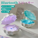 Bluetooth スピーカー 海 シェル 貝殻 海のレコードスピーカー レトロ レコード レコードプレーヤー風 雰囲気 可愛い 復刻スピーカー 360度サウン...