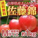 【送料無料】山形のさくらんぼはうまいずね〜山形県産 さくらん...