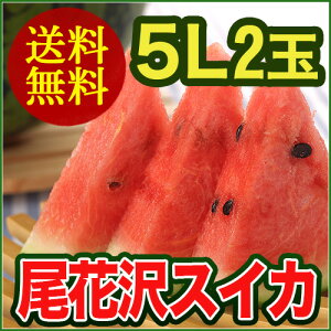 山形のすいかはうまいずね〜山形県産 尾花沢 すいか 5Lサイズ (10〜11kg) 2玉入り 訳あり