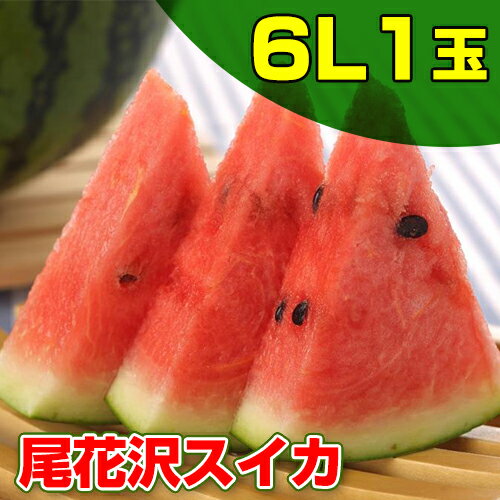 尾花沢 すいか 6Lサイズ 大玉 1玉 訳あり山形のスイカはうまいずね〜