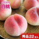 山形県産 白桃 22玉入 約5kg ご家庭用に贈り物にたっぷり大満足 【ヤマトクール便発送】