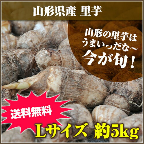 ★山形の里芋はうまいっだな～★山形県産 里芋 Lサイズ 5kgのサムネイル