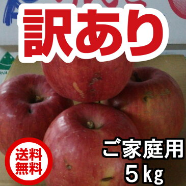 りんご 訳あり 早生ふじ 山形県産 サイズいろいろ 5kg（10〜20個程度） フルーツ 果物 山形 わけあり 予約商品