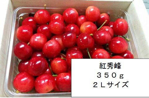 高級なフルーツ さくらんぼ 紅秀峰 山形県産 自宅用 自家農園栽培 350g 2Lサイズ以上 予約商品 サクランボ 高級フルーツ 果物 くだもの 高級 山形 ご当地 お取り寄せ 美味しいもの おいしいもの ギフト 贈り物 内祝い お祝い 通販 送料無料