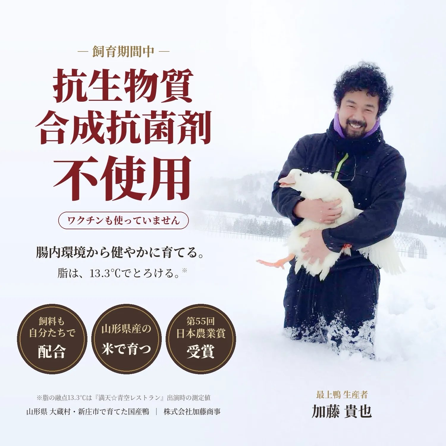 鴨肉 切り落とし（切り出し肉）1kg（500g×2袋）国産 最上鴨 送料無料 山形県大蔵村・新庄市 生産農家直送 鴨鍋 鴨南蛮 鴨そば 年越しそば 焼肉 鴨すき 小分け 冷凍 お取り寄せ (2)
