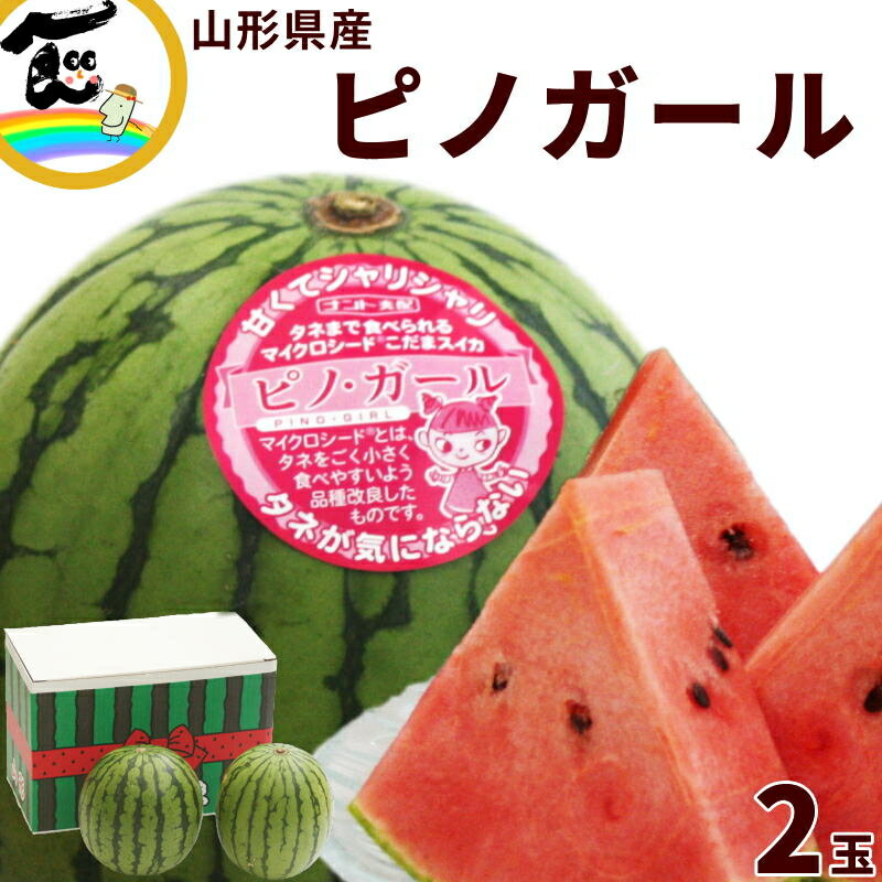 甘い スイカ 山形県産 小玉すいか ピノガール 1.6kg以上 2玉 山形県 お中元 ギフト お取り寄せ 送料無料