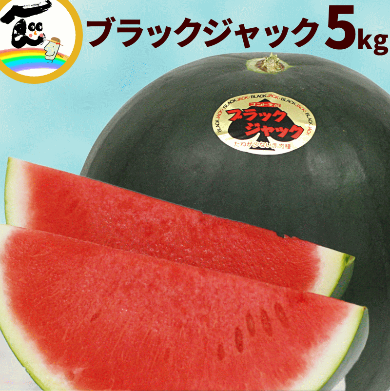 甘い スイカ ブラックジャック 中玉 (約5kg) 1玉 A品 山形県 種の少ない 黒皮すいか お中元 ギフト お取り寄せ 送料無料 予約