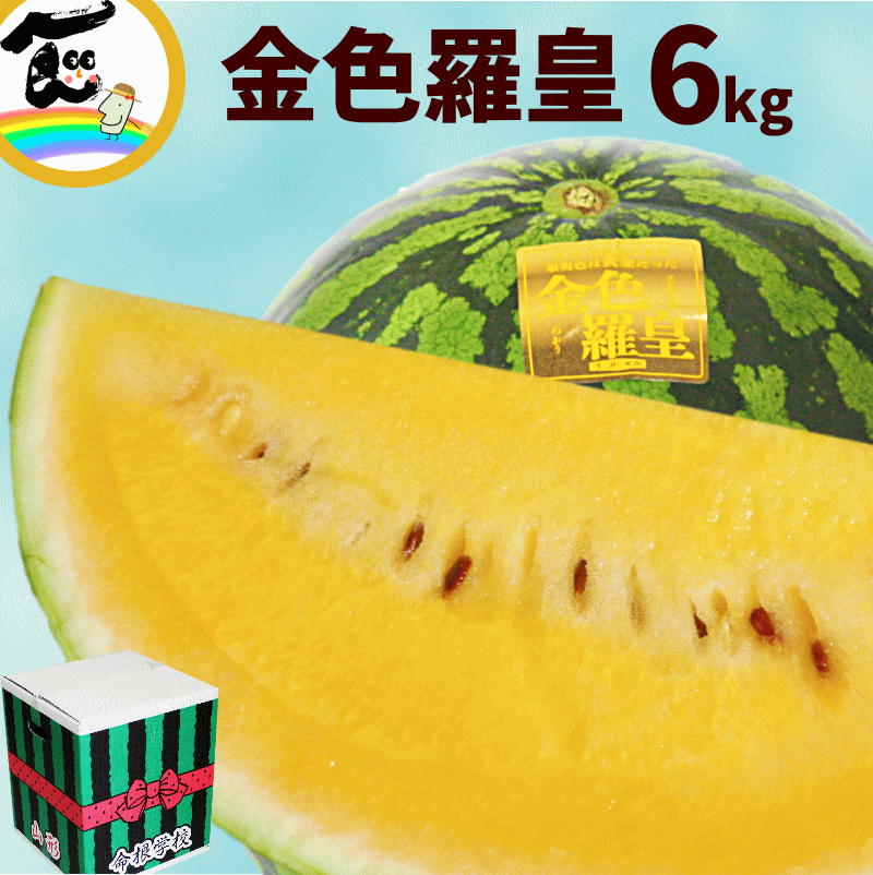 【今だけ！10％オフ！クーポンも見逃すな！】甘い スイカ 金色羅皇 6kg 1玉 予約 山形 すいか 1玉 お中元 黄色 すいか 黄色い 金色 秀品 お取り寄せ ギフト