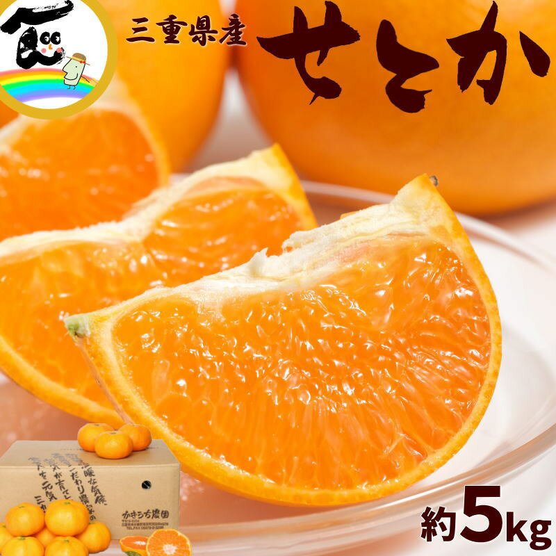 みかん せとかみかん 三重産 かきうち農園 せとか 秀品 5kg M〜2L混合(4)