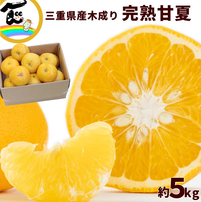 甘夏 あまなつ 三重 三重県産 木成り 甘夏 5kg ( L〜3Lサイズ混合)