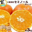 みかん セミノール 三重県 かきうち農園 セミノール オレンジ 秀品 3kg M～2L混合