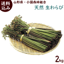 2020年予約 山菜 送料無料 山形県産 天然 生わらび 2...