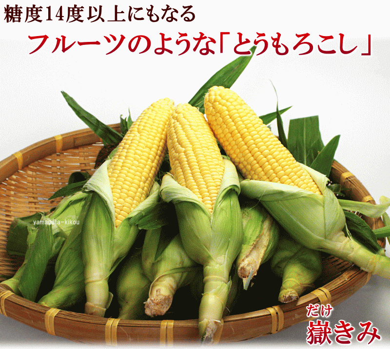 とうもろこし 送料無料 青森産 嶽きみ (だけきみ) 10本 約3.5kg (秀 MLサイズ) 2