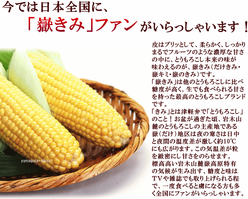 とうもろこし 送料無料 青森産 嶽きみ (だけきみ) 10本 約3.5kg (秀 MLサイズ) 3