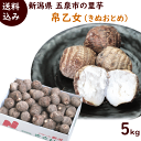 里芋 さといも 送料無料 新潟県 五泉市 さといも 帛乙女 (きぬおとめ） 5kg (Lまたは2Lサイズ)