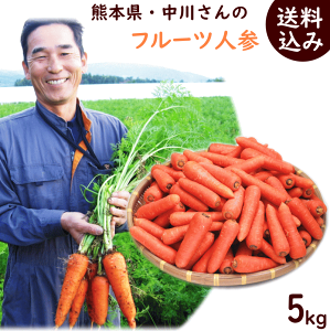 にんじん 送料無料 熊本県産 中川さん フルーツ人参 5kg 品種：オラジュ サイズ M：120g〜180g L：180g〜250gのどちらかが入ります。
