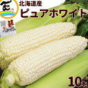 トウモロコシ 北海道産 とうもろこし ピュアホワイト (白色) 10本 白い 甘い 朝取り 産地直送
