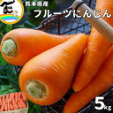 にんじん 人参 熊本県産 中川さん フルーツ人参 5kg (M又はLサイズ)フルーツにんじん