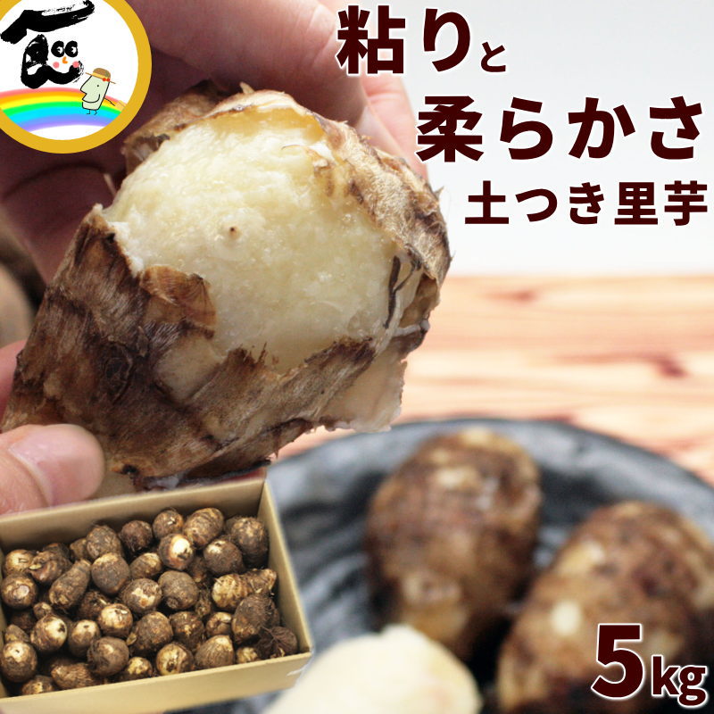 里芋 さといも 山形県産 土付き里芋 (どだれ種) 秀品 5kg