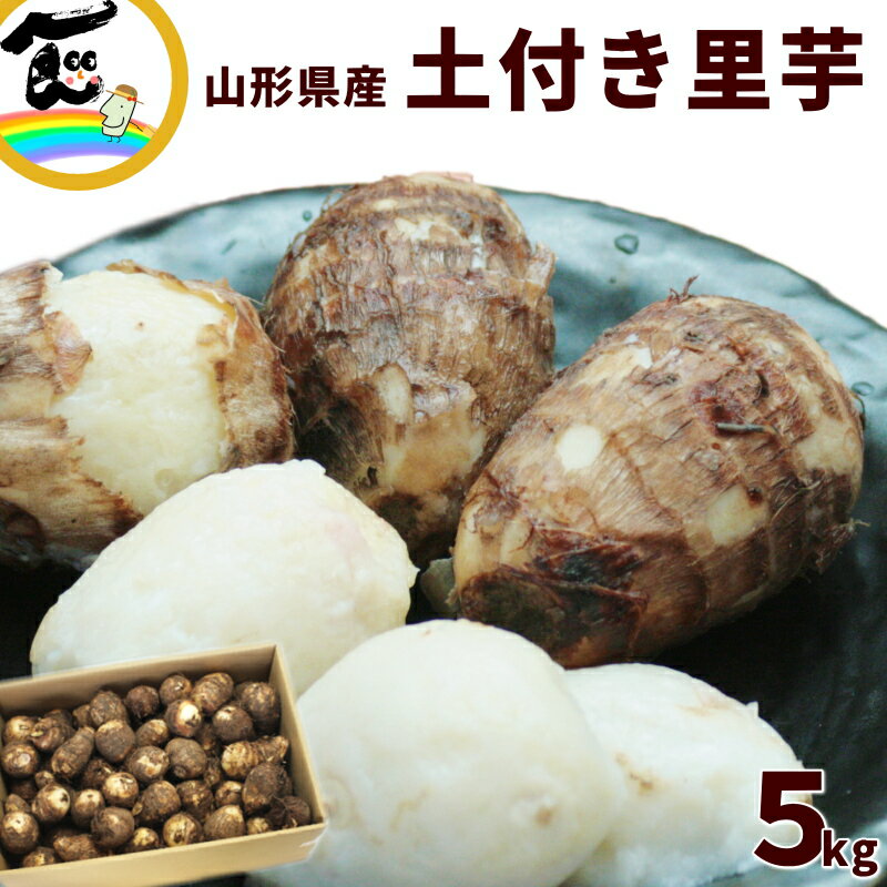 里芋 さといも 山形県 JA庄内たがわ 土付き里芋 5kg 秀品 MまたはLサイズ