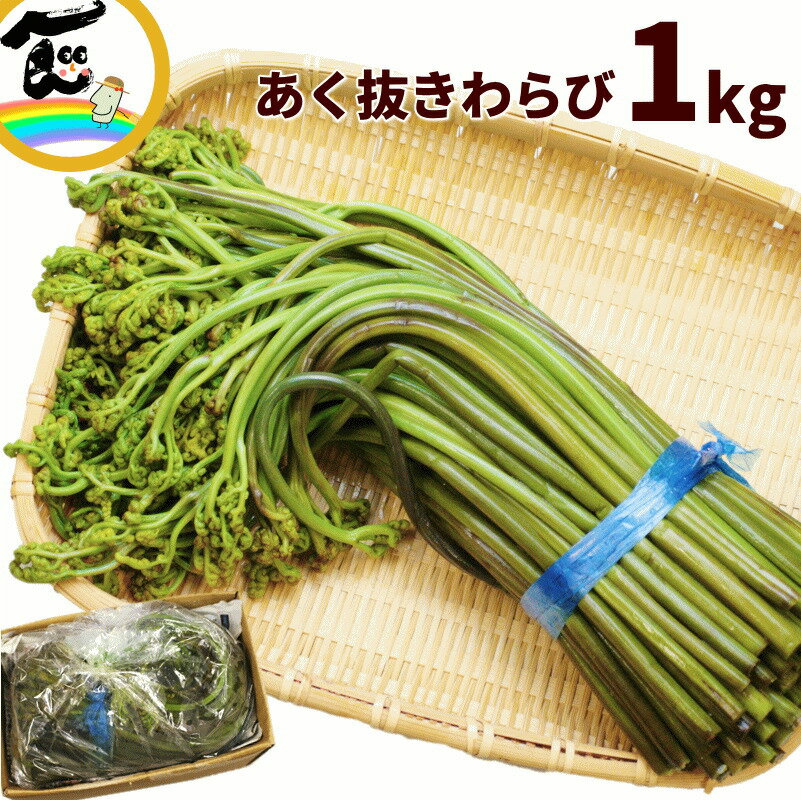 山菜 山形県産 あく抜き わらび 1kg 届いてすぐに食べられる 山菜 蕨 わらび 天然