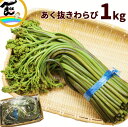 山菜 山形県産 あく抜き わらび 1kg 山菜 蕨 わらび 