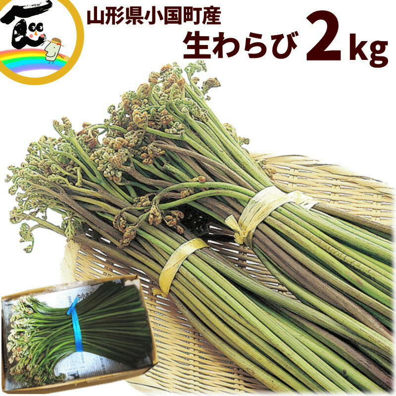 山菜 山形県産 天然 生わらび 2kg 山菜 蕨 わらび 天