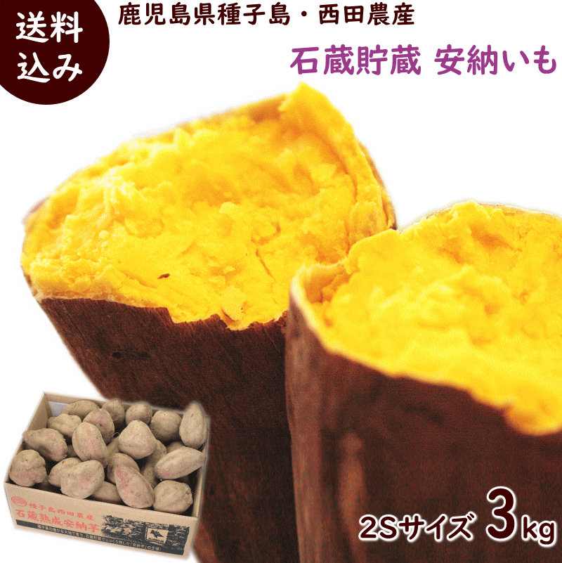 安納芋 送料無料 鹿児島県 種子島安納地区産 安納芋 2S 3kg (約35〜50個) 1個のサイズ50g〜80g