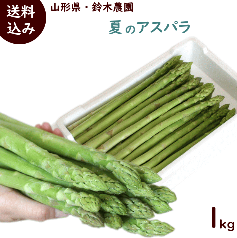 アスパラ 送料無料 山形県産 鈴木農園 春の アスパラ 1kg