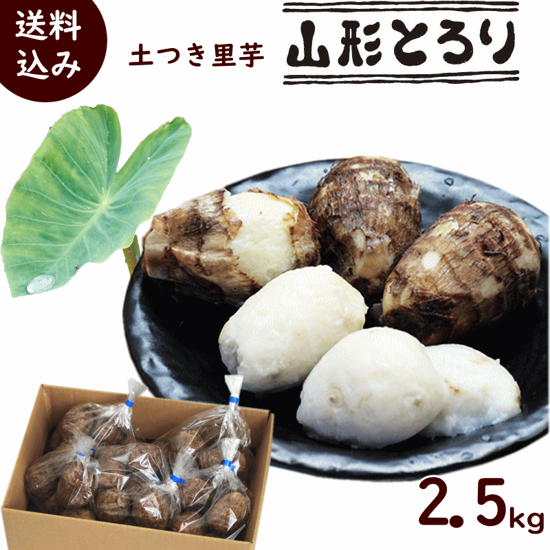 送料無料 山形県産 土付き里芋 山形 とろり 2.5kg (500g×5袋)