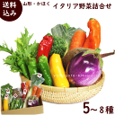 野菜セット 送料無料 山形 かほく イタリア野菜研究所 イタリア野菜詰合せ 5~8種