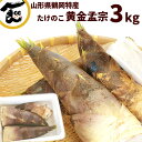 山菜 送料無料 山形県産 たけのこ 黄金孟宗 (こがねもうそう) 3kg (3〜4本) アク抜き用こぬか付き