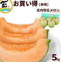 山形県産 庄内砂丘メロン 赤肉 5kg(4~5玉)お買い得 とろける甘さ 濃厚な果肉 ご家庭用 産地直送 夏限定フルーツ
