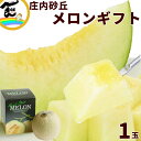  Mtg  R` u Mtg Gi  1.2kg 1