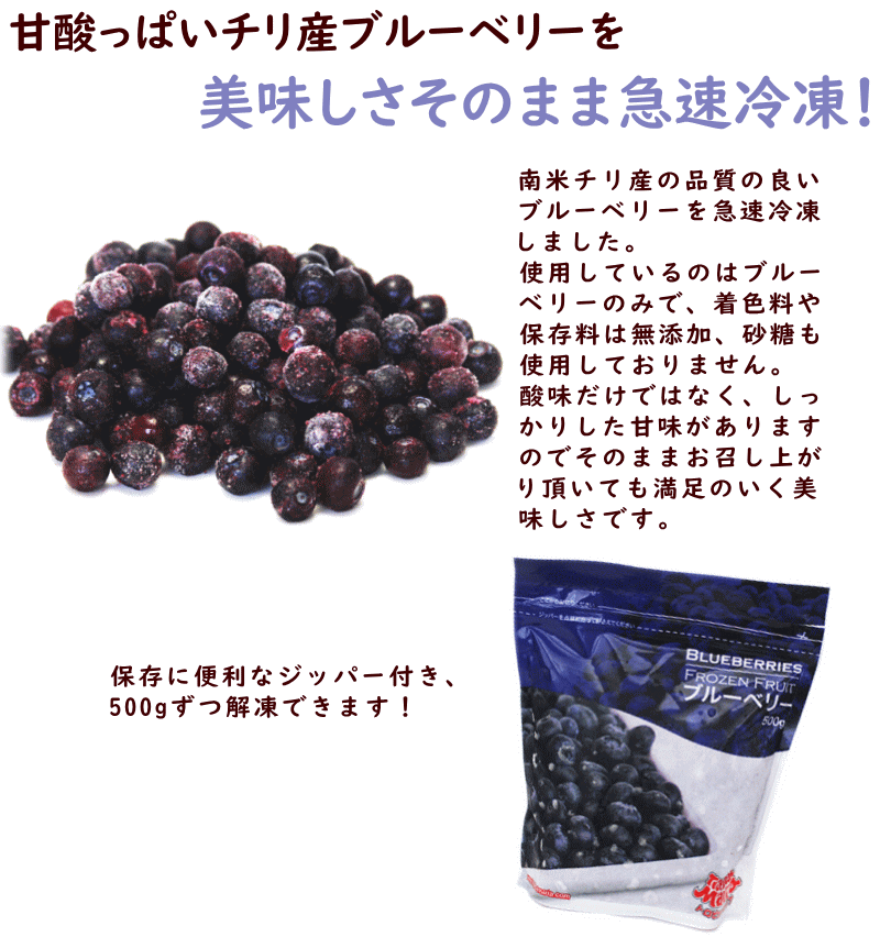 冷凍フルーツ 業務用 冷凍ブルーベリー 送料無...の紹介画像2